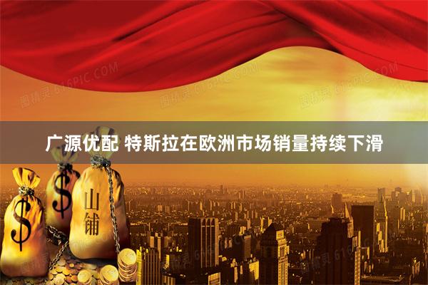 广源优配 特斯拉在欧洲市场销量持续下滑