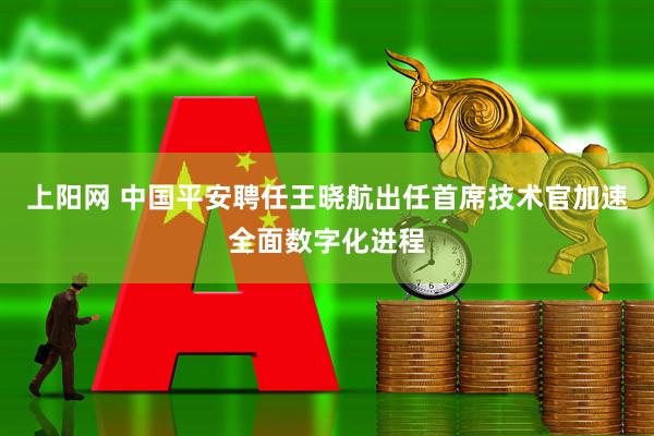 上阳网 中国平安聘任王晓航出任首席技术官加速全面数字化进程
