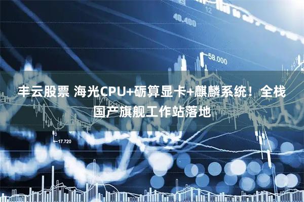 丰云股票 海光CPU+砺算显卡+麒麟系统！全栈国产旗舰工作站落地