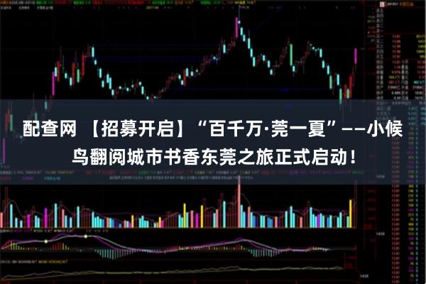 配查网 【招募开启】“百千万·莞一夏”——小候鸟翻阅城市书香东莞之旅正式启动！